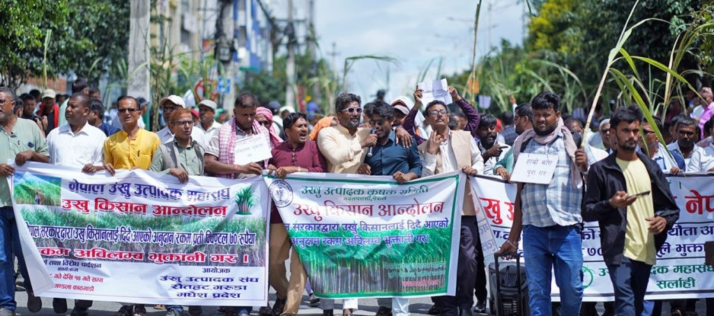 उखु किसानको अनुदान कटौतीको विरोधमा काठमाडौंमा प्रदर्शन जारी