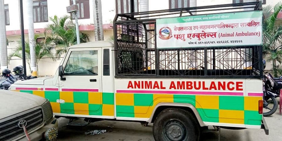 नेपालगन्ज उपमहानगरलाई ‘एनिमल एम्बुलेन्स’ हस्तान्तरण