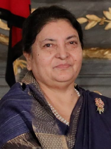 पूर्वराष्ट्रपति भण्डारी निवास प्रकरणमा युवा संघले तोड्यो मौनता